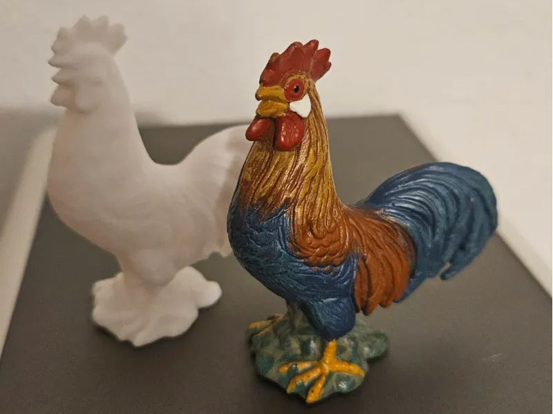 Rooster - Hahn