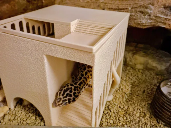 https://makerworld.bblmw.com/makerworld/model/US63cb0a540b992f/design/2025-05-06_6b4807e69bfeb.jpg