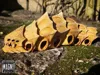 Ancient Skeleton
