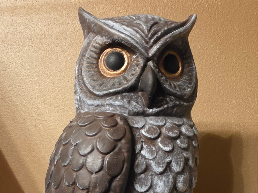 Garden Owl