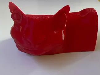 kevin die Katze