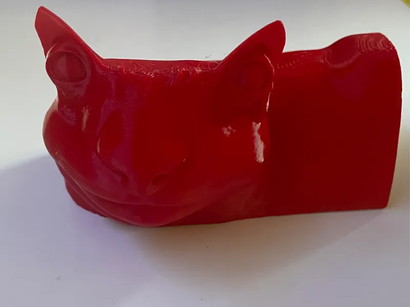 kevin die Katze