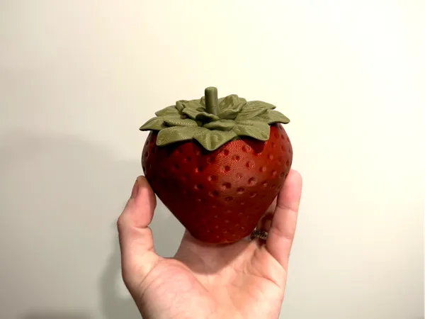 https://makerworld.bblmw.com/makerworld/model/US63d3a23907191c/design/2025-08-21_edd887bb3155a8.jpeg