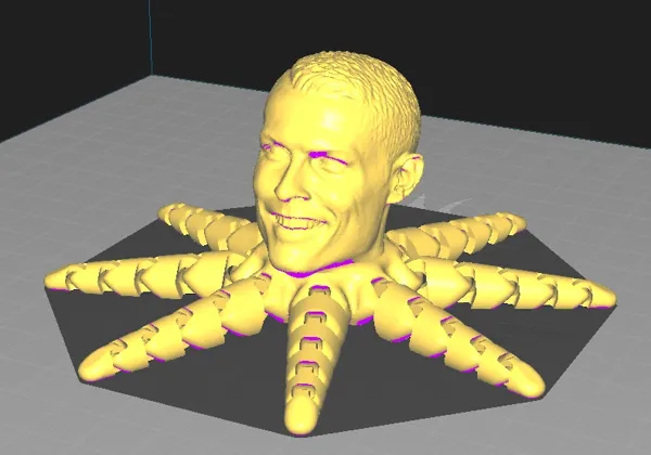https://makerworld.bblmw.com/makerworld/model/US63d4050c9d58cb/design/2024-01-23_d9e4d5f90cd08.webp