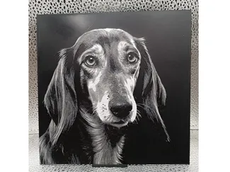 Saluki Hueforge