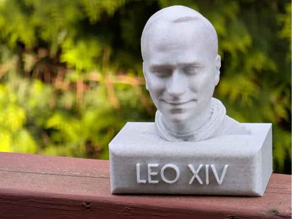 https://makerworld.bblmw.com/makerworld/model/US63db045093f524/design/2025-05-08_9acfef4c6b74d.jpg