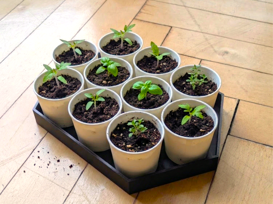 Self-watering Seed Starter filament efficient
