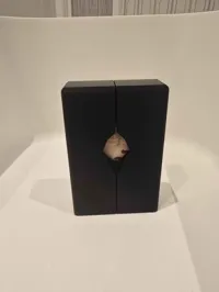 0.2mm layer, 2 walls, 10% infill