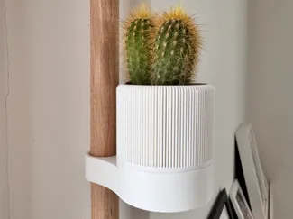 Vasetti Cactus da parete