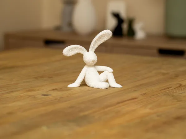 https://makerworld.bblmw.com/makerworld/model/US63e703edfbce44/design/b3acfb43cf693ce6.jpg