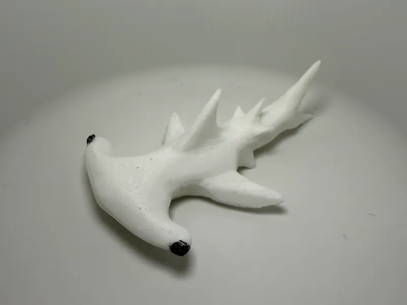 Hammerhead Shark