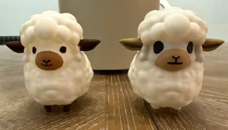 Sheep