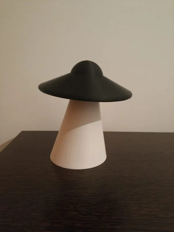 https://makerworld.bblmw.com/makerworld/model/US63f75a5fc9b84d/design/2024-02-12_c8e9f6fee6295.jpg