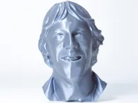 0.2mm layer, 2 walls, 10% infill
