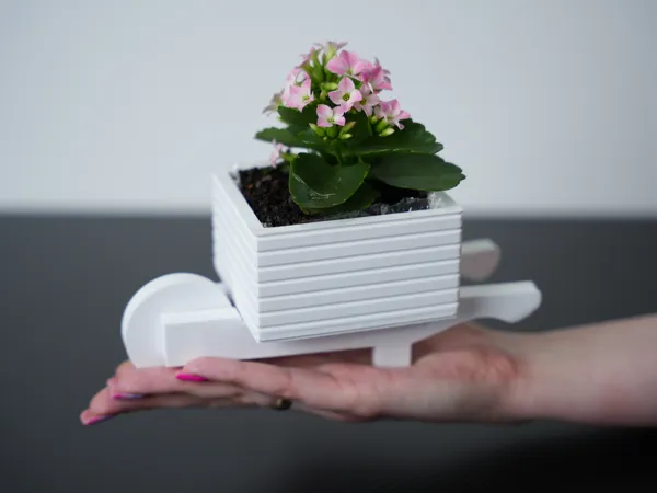 https://makerworld.bblmw.com/makerworld/model/US63fdcd226afeb6/design/2025-03-27_702922caf9ae3.jpg