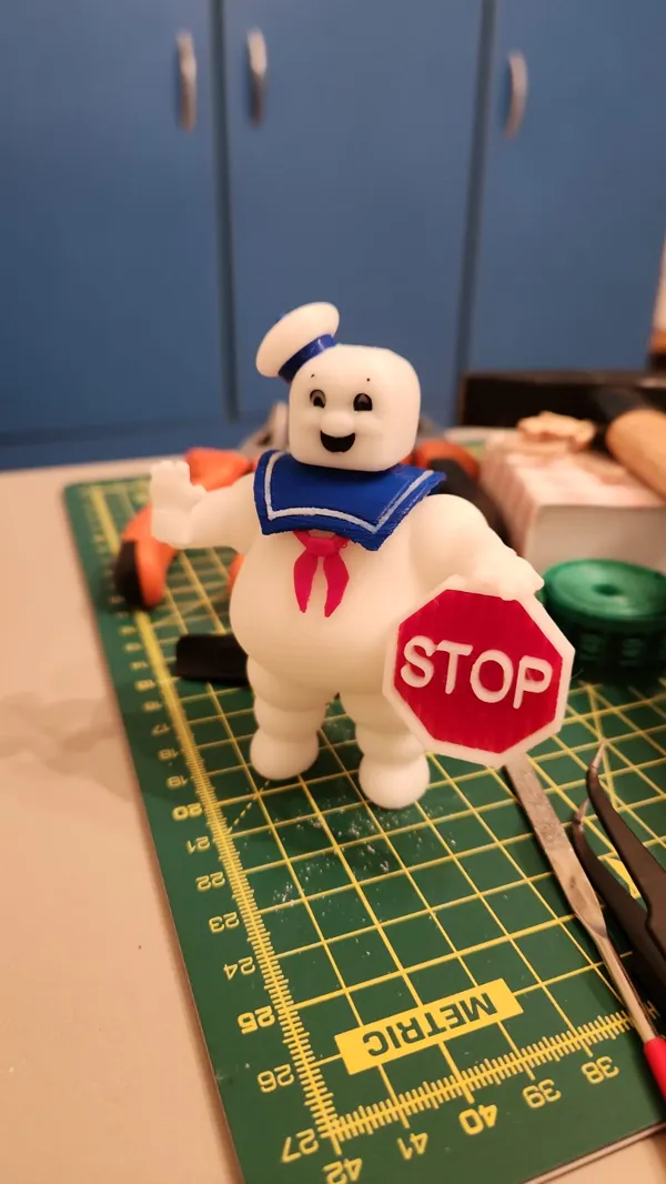 https://makerworld.bblmw.com/makerworld/model/US63fe058c2e3bd8/design/2024-02-13_539f080b44ed8.jpeg