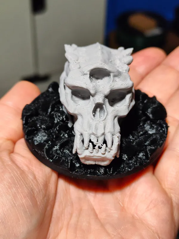 https://makerworld.bblmw.com/makerworld/model/US64016abbccfd91/design/2024-01-08_bcc52bfcc864b.jpg