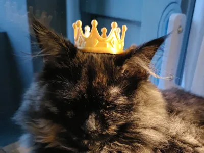 Cute Mini Crown for Cats & Small Dogs