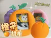 Orange Picture Frame Mini