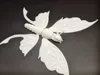 Monochrome Butterfly