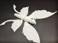 蝴蝶单色