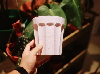植物未来花盆｜套盆、热植、自吸水、透气、10cm、13cm、17cm