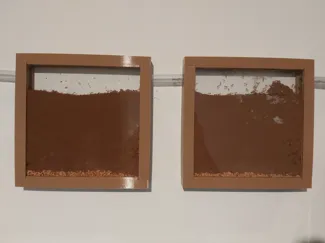 ColonyForge Formicarium