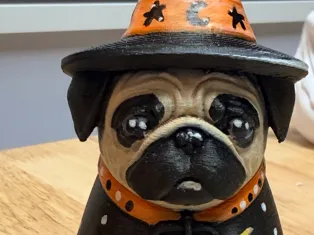Pug Witch