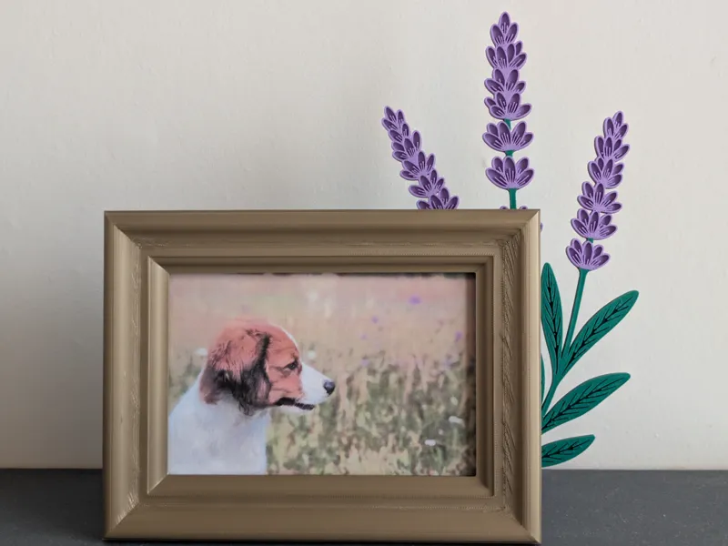 Picture frame with Lavender