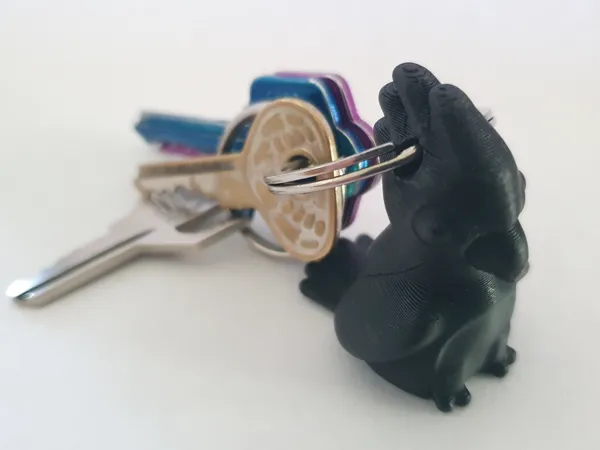 https://makerworld.bblmw.com/makerworld/model/US641d0ce75b8c0f/design/2025-01-29_1a11d95d4a4d6.jpg