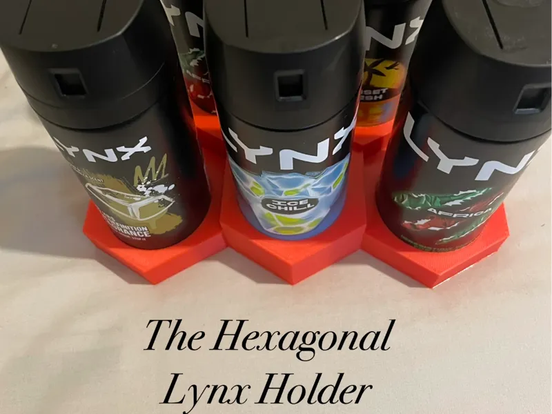 The Lynx Can Hexagonal Holder