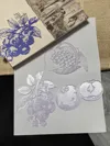 Monochromatic PETG