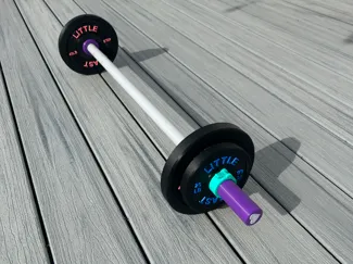 Child Barbell Weight Plate 45lb