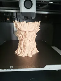 0.2mm layer, 2 walls, 8% infill