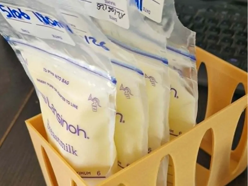 Breast Milk - Lansinoh organiser - Lait maternel