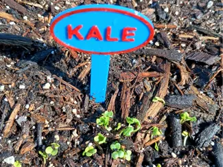 Parametric Garden Stake Sign Label Generator