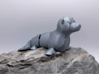 Flexi Seal - Single Color