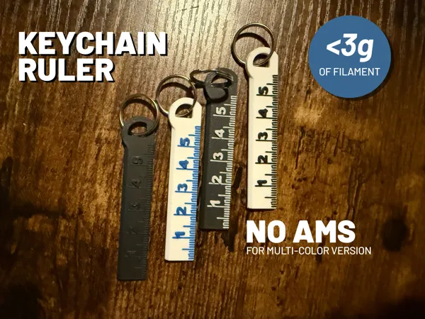 https://makerworld.bblmw.com/makerworld/model/US6436dd1d3391e3/design/2025-01-06_a74c14b82d813.jpg