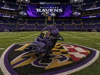 NFL - Baltimore Ravens Bird Sculpt!