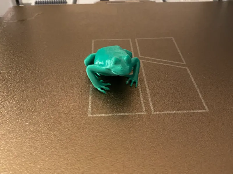cute tree frog