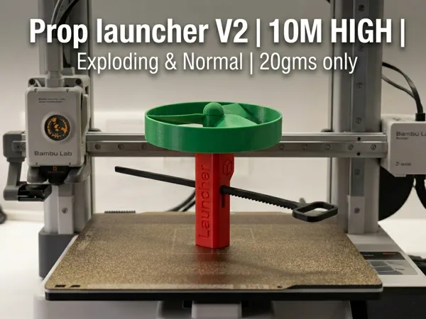 https://makerworld.bblmw.com/makerworld/model/US643cde94176847/design/ac349a23920355f3.png