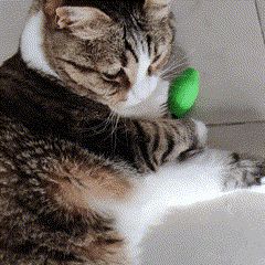 https://makerworld.bblmw.com/makerworld/model/US643f4f9d3fe07/design/2024-04-06_b1e0046d57f6.gif