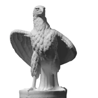 Aigle en marche — photo 1