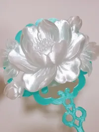 有扇背