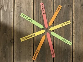 Plant Labels with Storage Box