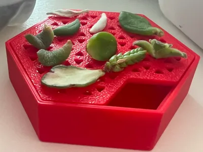 Micro Succulent Propagation Tray