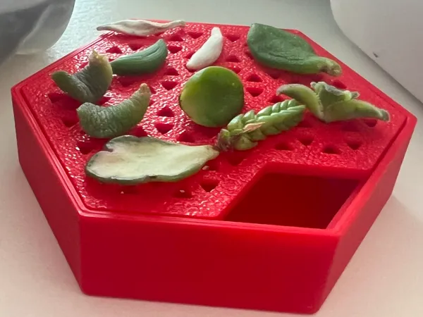 https://makerworld.bblmw.com/makerworld/model/US644a5106c89b6b/design/2025-04-22_2194425f9eea3.png