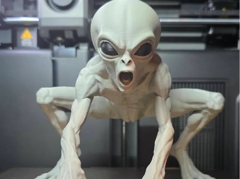 THEM 1947 Disclosure Alien Greys THE INTIMIDATOR