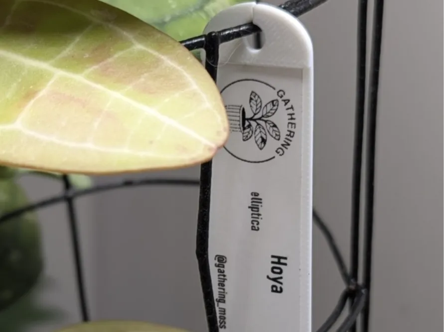 20mm Plant Tag – Alignment Ridge, No Supports - Free 3D Print Model ...