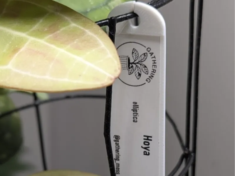 20mm Plant Tag – Alignment Ridge, No Supports